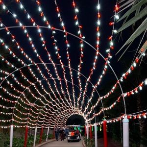 Meet your Posher, Pauline